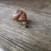 Nicole Clancy - @nicole.clancy3 - TikTok