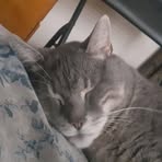 Piette Nicole Constance Fillieux - Facebook