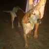nicolecoolcat123 - @nicolecoolcat123 - TikTok