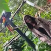 Nicole Corrales - @nicole.corrales2 - TikTok