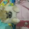 NicoleCory - @nicolecory - TikTok