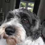 Nikki Crombie - Facebook