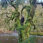 Nicole DeCesare - Facebook