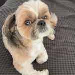 Nicole Decoster - @nicole.decoster.7 - Instagram