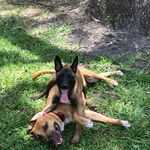 Nicole DeVault - @sithappensrva - Instagram