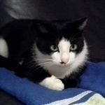 Nicole De Vos - @nicoledevos7 - Instagram