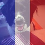 Nicole Devos - @cherrysonnenblume - Instagram