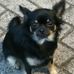 Nicole Dewitz - Facebook