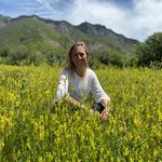 Nicole Dial Anderson - @nicoleditto - Instagram