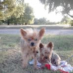 Nicole Di Giovanni - Facebook