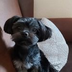 Nicole Dirks - @nicole.grebing - Instagram