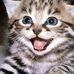 Nicole Domanski - Facebook