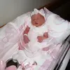 nicoleodriscolll - @nicoleodriscolll - TikTok