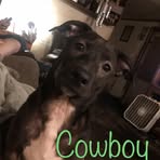Nicole Eason - Facebook