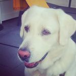 Nicole Schuck-Edinger - @schuckedinger - Instagram