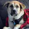 nicoleegbertsever - @nicoleegbertsever - TikTok