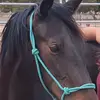 Nicole Eggleton - @cheykota - TikTok