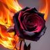 Nicole Ehmann - Facebook