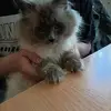 Nicole Gehrmann - @nicolegehrmann77 - TikTok