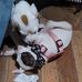 Nicole Cherie Eilert - Facebook