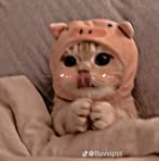 Nicole Alair - Facebook