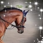 Nicole Elbert-Auffahrt - Facebook