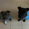 Nicole else - @nicoleetay - TikTok