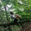 nicolendlich - @nicolendlich - TikTok