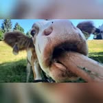 Nicole Färber - @nicole.farber.56 - Instagram