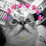 Nicole Farro - Facebook