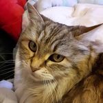 Nicole Fauré - @nicole.faure.359 - Instagram
