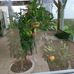 Nicole Faure - Facebook