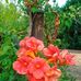 Nicole Faure - Facebook