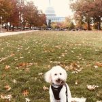 Nicole Feaster - @globetrotter_coco - Instagram