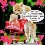 Nicole Ferrand - Facebook