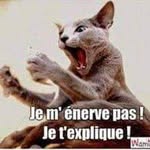 Nicole Ferrand - @st_jean_du_cardonnay - Instagram