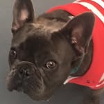 Nicole Friedlander - @nicole833 - Instagram