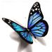 Nicole Gebert - Facebook