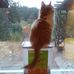 Nicole M Gemma - Facebook