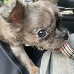 ニコル🐾 - @nicolegram225 - Instagram
