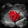 Nicole Greaney - @user269769523 - TikTok
