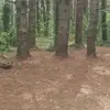 SarahNicoleGreig - @sarahnicolegreig - TikTok