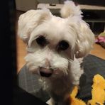 Nicole Grob - Facebook