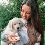 nicole + hank 🐾 | dog friendly lifestyle - @ourgoldenlives - Instagram
