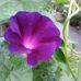 Nikole S. Havens - Facebook