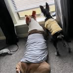 Nicole Head - Facebook