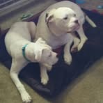 Nicole Hedgpeth - Facebook