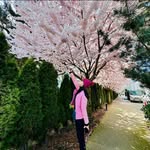Nicole Hung - @nicolehung0314 - Instagram