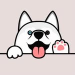 ХАСКИБЛОГ С НИКОЛЬ - @nicole.siberian.husky - Instagram