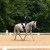 Nicole Englebert Hut - @nicolehuttarjumpinghfarm - TikTok